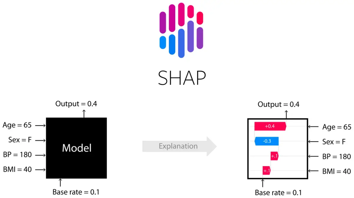 AI Model Interpretability and Explainability